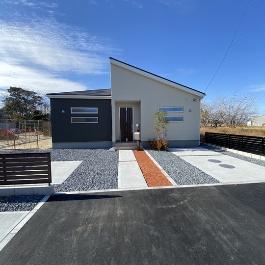 image1 (1)