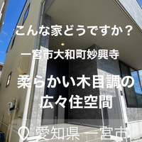 画像1385
