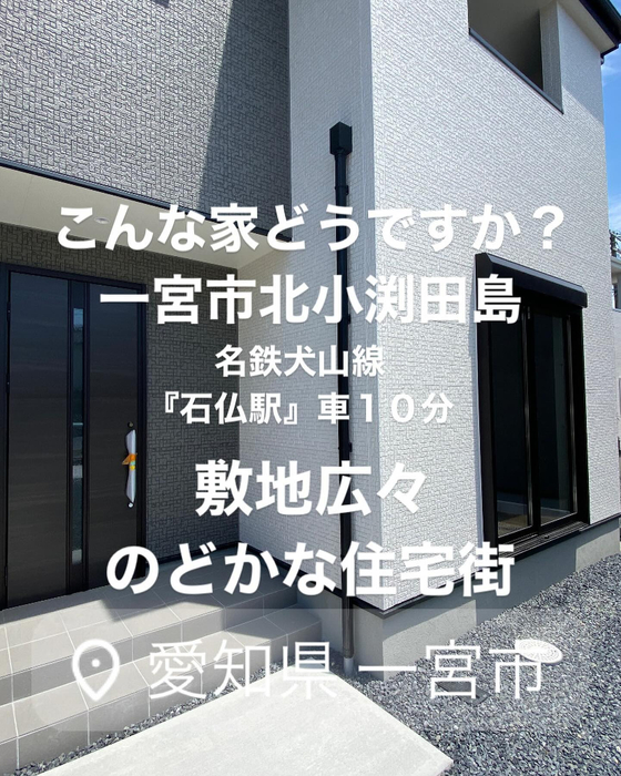 画像2537