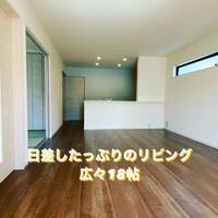 画像333