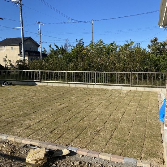 芝