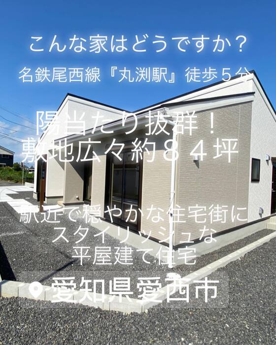 画像424