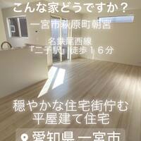画像459