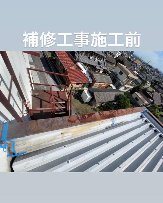 画像495