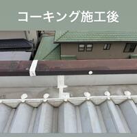 画像496
