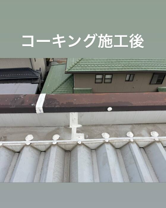 画像496