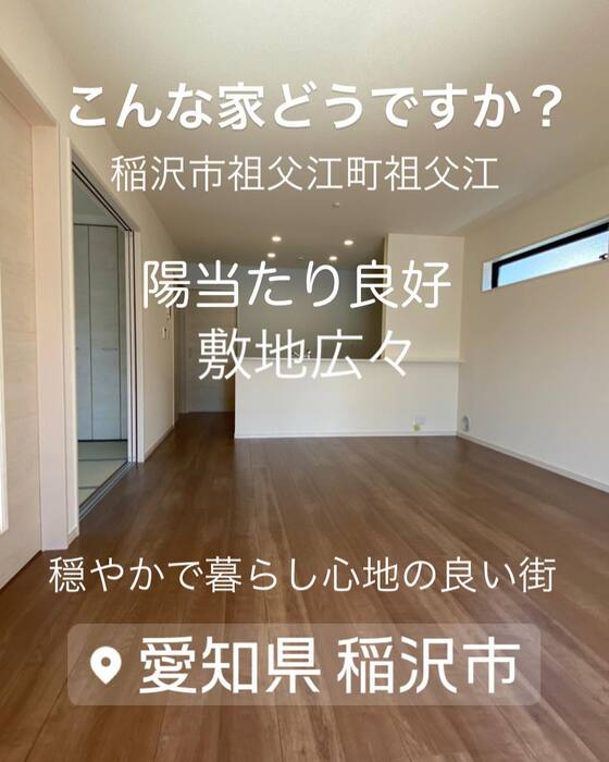 画像499