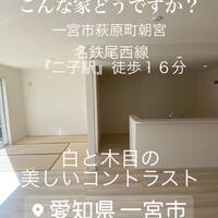 画像549