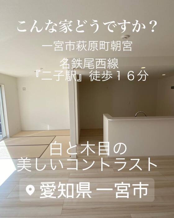 画像549
