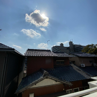 画像5886
