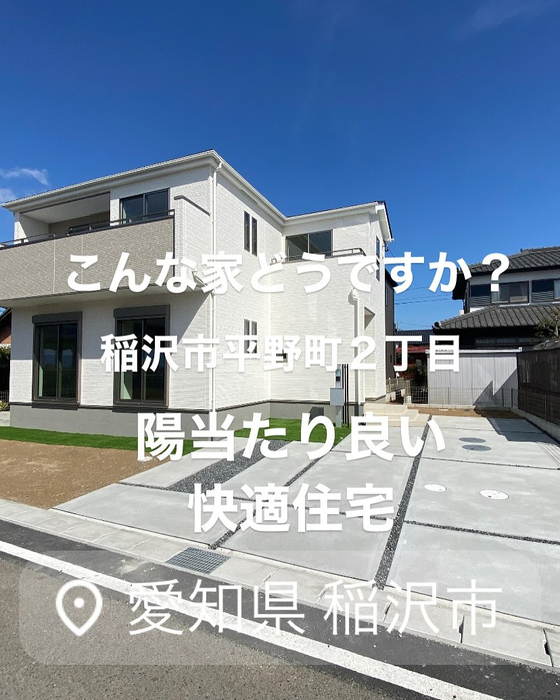 画像6245