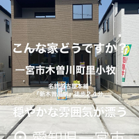 画像6598