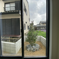 画像6850