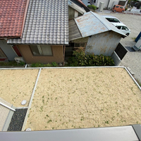 画像7079