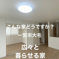 画像7306