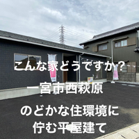 画像7529