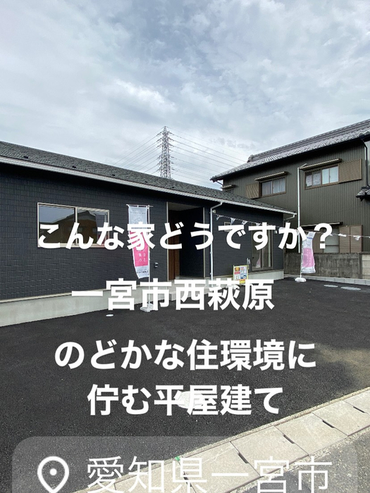 画像7529