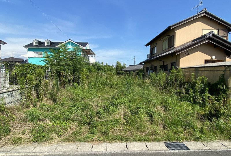 IMG_3135 (1)