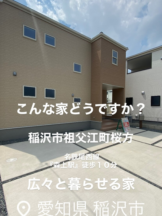 画像8249