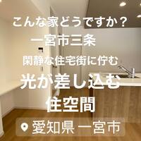 画像982