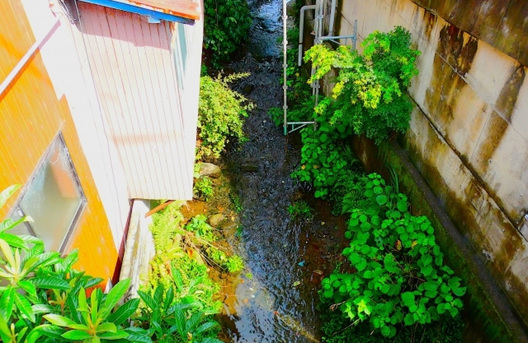 【稲沢市】水路に面している土地のデメリット　不動産売却する際の注意点　株式会社椿ホームズ