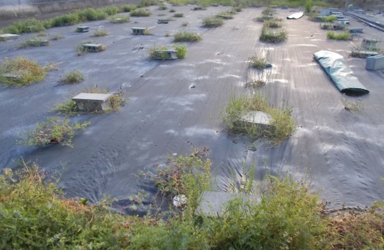 【一宮市・稲沢市】土地の売却のご相談なら株式会社椿ホームズ